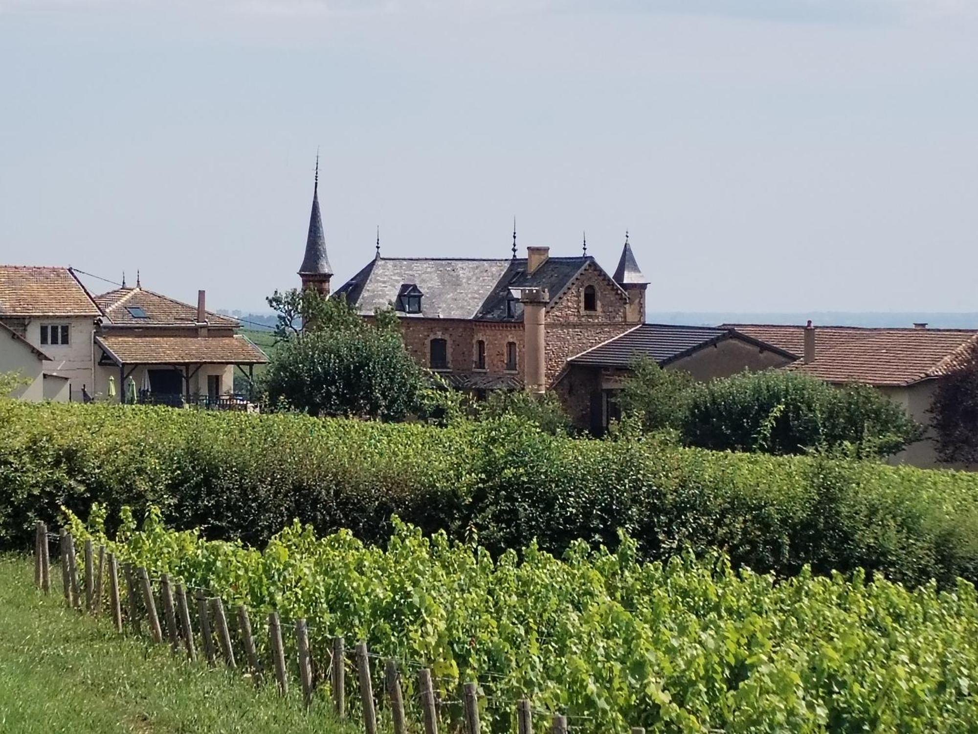 Le Petit Chateau De Sathonat - Horizon Paradis 圣阿姆贝尔维尤 外观 照片